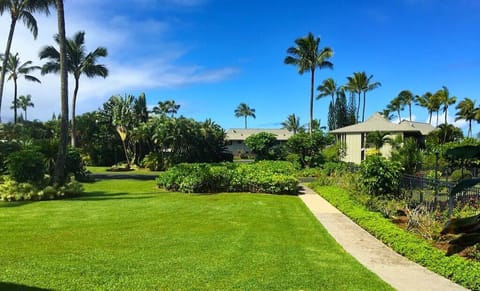 The View from the Living Room & Patio