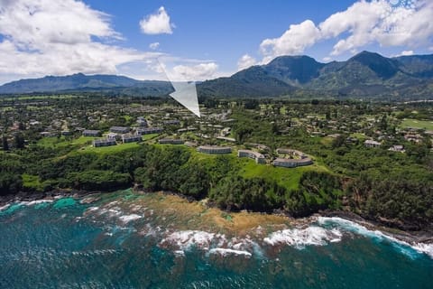 Aerial View of the Condo Location