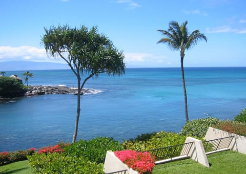View from the Lanai of the Unit 