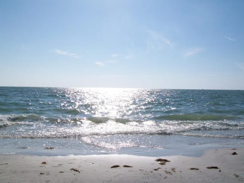 Beautiful Ocean view