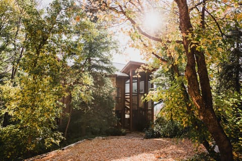 Main level entrance of cabin, by upper driveway.