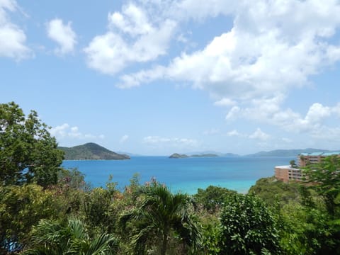 View from your Balcony !!!