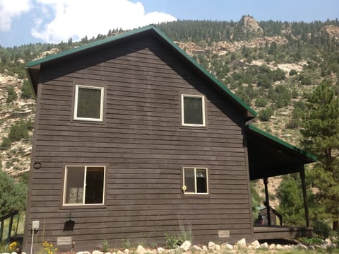 The mountain bighorn sheep traverse to reach the grassy meadows and Wilsey ditch