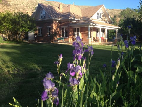 Front of house with irises in bloom.
