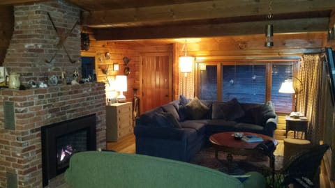 Cut cedar log walls, gas fire, ten foot peaked ceiling, Pan-a-bode stable door