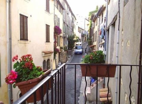 The street outside the living-room 