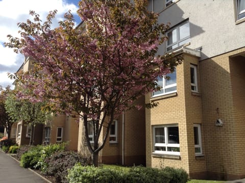 Street View showing exterior apartments building with apple blossom trees.