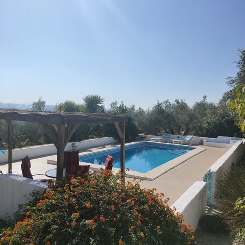 Pool and terrace