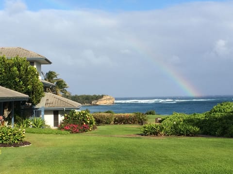 This view is 10 steps from our lanai