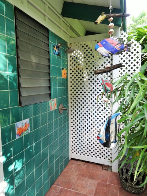 Outdoor hot and cold shower