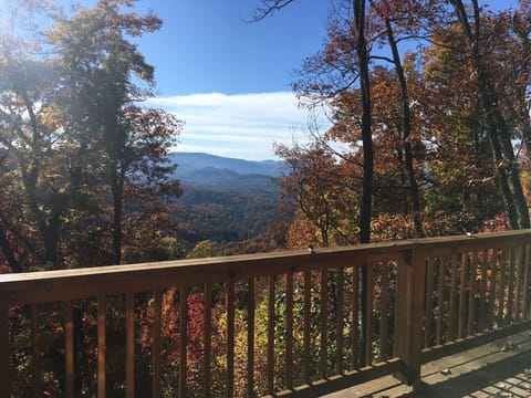 Fall view