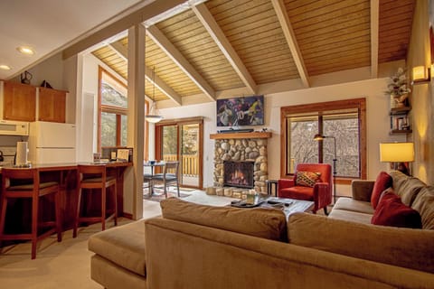 Gas Fireplace & Large TV in the Living Room