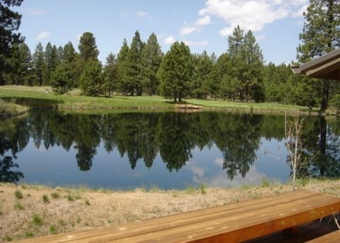Summer view from deck of pond and 17th Fairway.