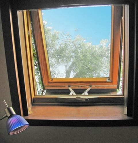 Listen to the birds, get some sunshine and air from your bed with loft skylights