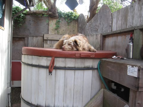Relax in the hot tub, or on top of it!