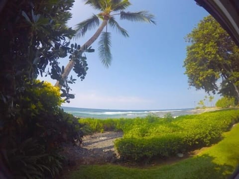 Your oceanic backyard
