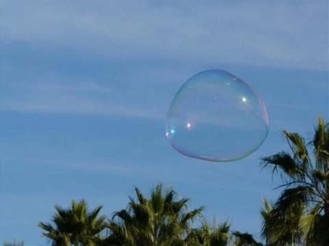 Light and bright beach retreat Apartment in Carlsbad