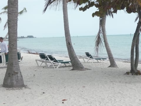 Condo located directly across from key west largest beach!