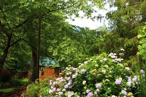 Your Next Mountain Vacation Destination!
