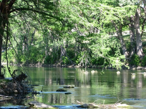 the Guadalupe River at Waterwheel, just down river from Cypress Bend Park