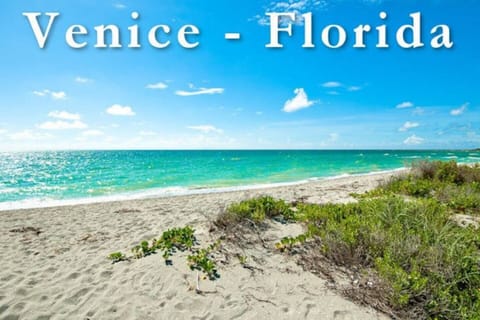 Walk along miles and miles of pristine shoreline & watch for dolphins jumping!