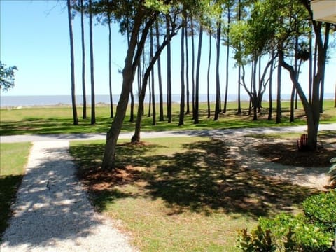 View from back porch of the Atlantic Ocean