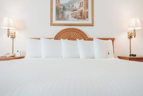 Standard Room, 1 King Bed | Hypo-allergenic bedding, desk, laptop workspace, blackout drapes