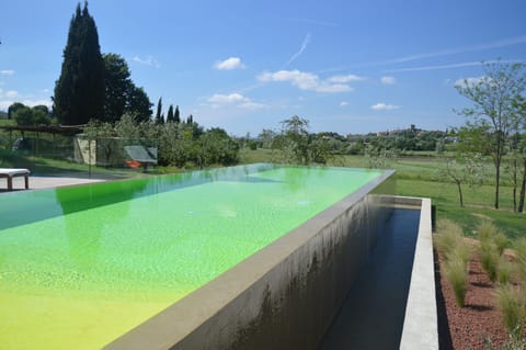 guests infinity pool ...colours according with the landscape
