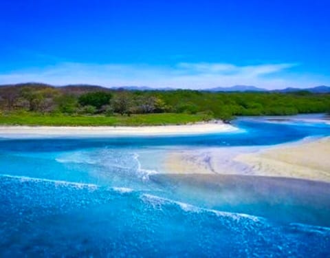 Walk to Playa Avellanas’ beautiful estuary and uncrowded beaches
