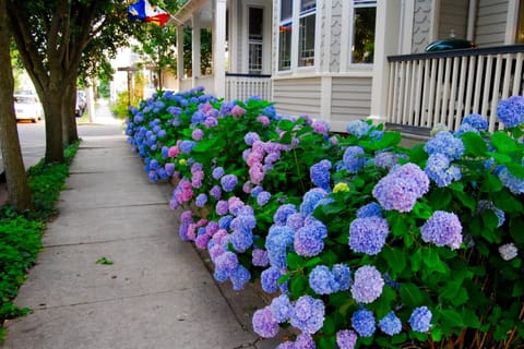 Chadwick Cottage Vacation Rental Home. Vacation Rentals Asbury Park. 