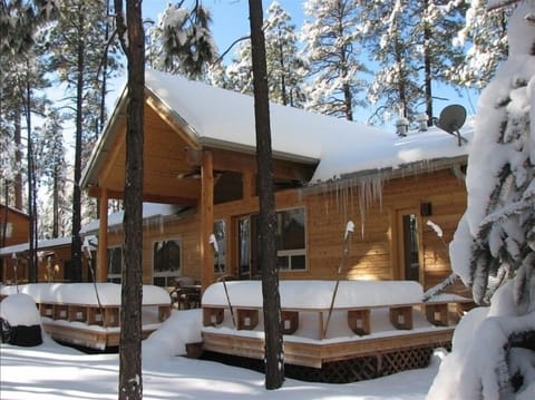 BACK OF THE CABIN