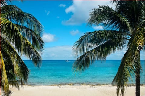 Welcome to Paradise! Rare sandy beach with descent with amazing snorkeling. 