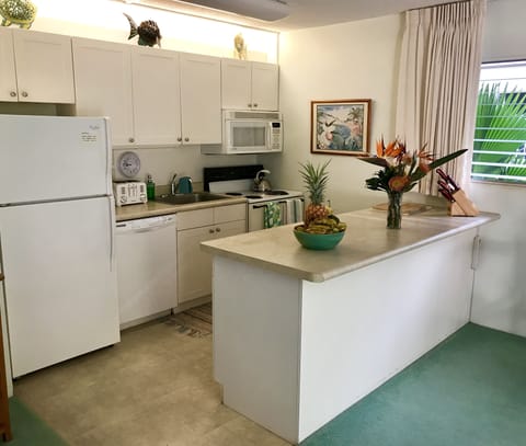 Fully equipped kitchen with coffee maker, blender, dishwasher, disposal.
