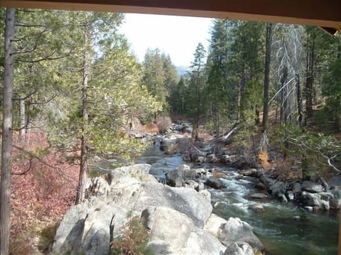 View From the Deck!    Truly a WATERFRONT Cabin!