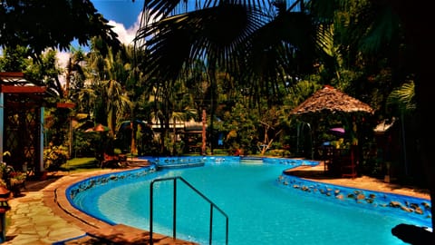 Outdoor pool, sun loungers