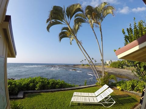 Relax seaside on the grassy lawn in backyard.
