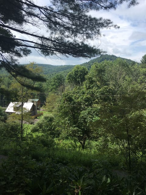 Enjoy this view from the swing or front porch.......