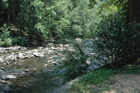 view of river in summer