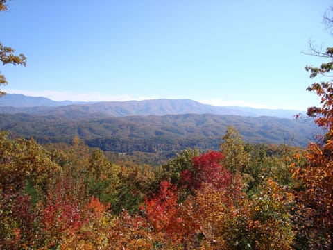Amazing fall colors and ridgeline view from the cabin.