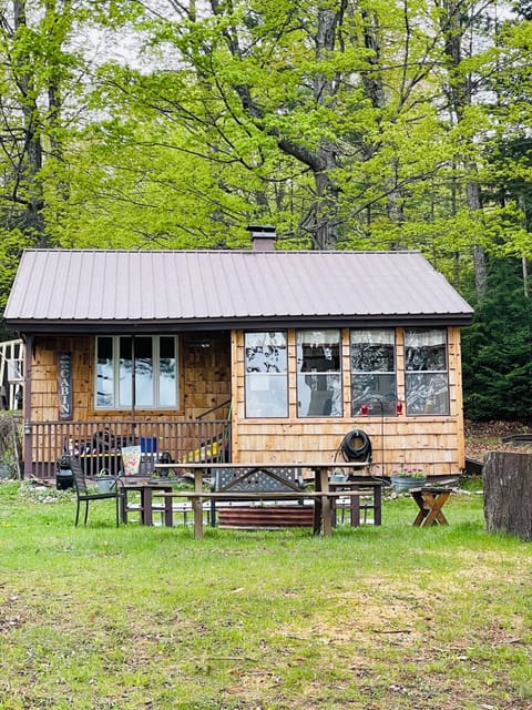 Large campfire private dock and launch across from Cabin .