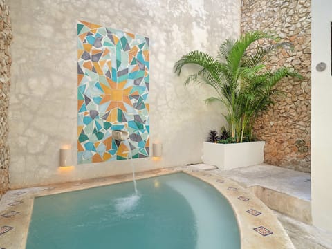 Private plunge pool.