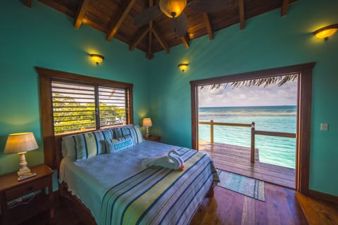 Photo courtesy of Video Vision 360
