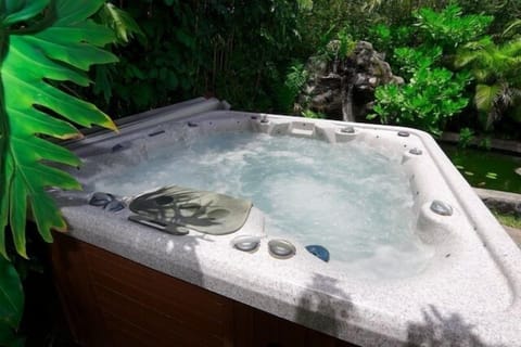 8 Person hot tub with lights and stero