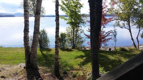 View from the front porch! 