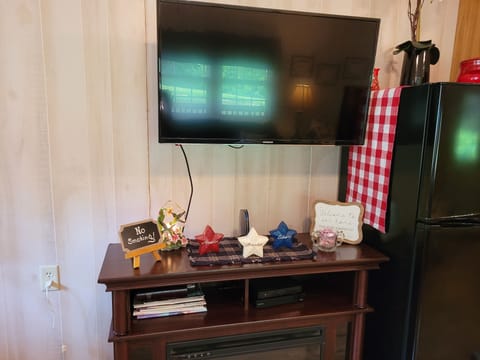 Television, Direct TV, DVD Player, magazines & brochures,  internet, & fireplace