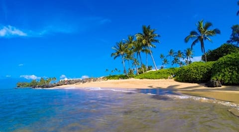 Walk across the street to Charley young & Kamaole 1 Beach!