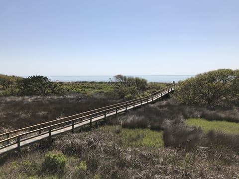 Balcony view. Direct Ocean Front.