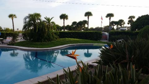 Beautiful heated pool.