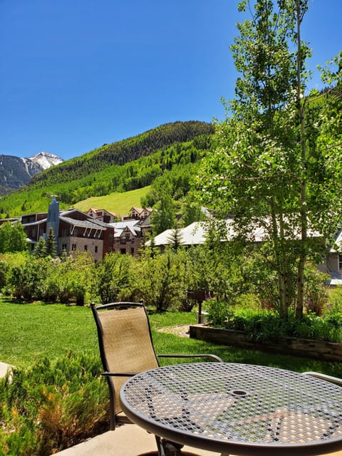 SUMMER!  Back patio has mountain views, ski run views, San Miguel River. 