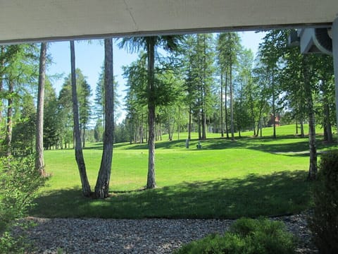 View from the back deck looking at the 11th tee.